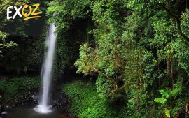Rainforest And Waterfall Experience - 10% Off
