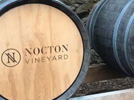 Nocton Vineyard - 10% Off